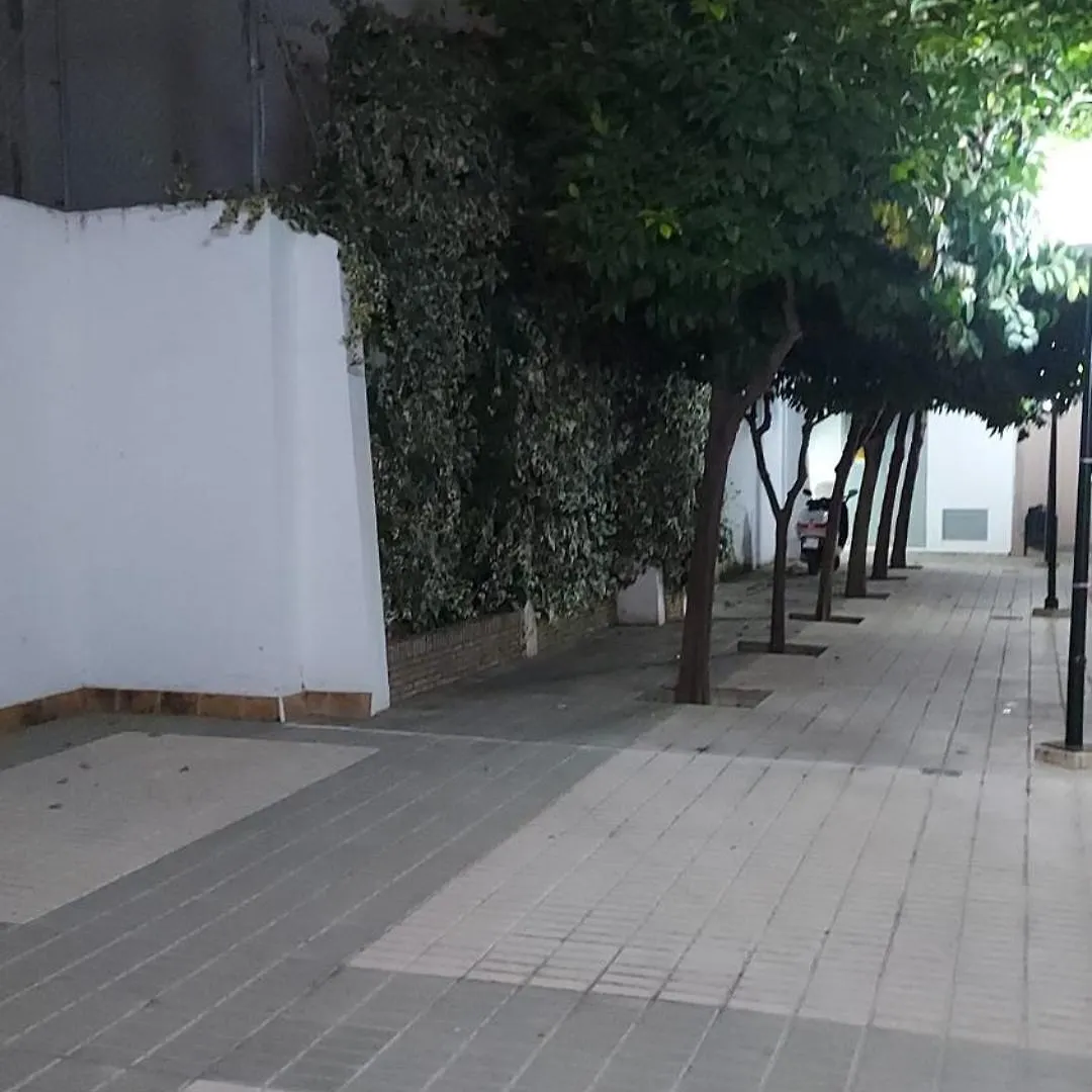 Alfonso XII Center Apartment Seville